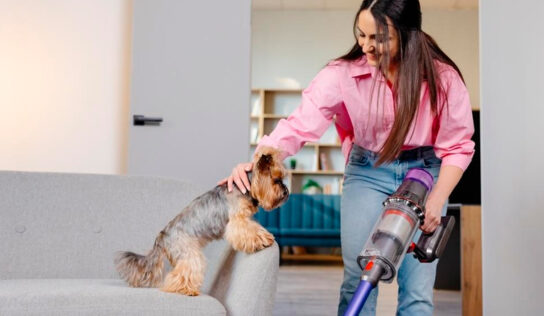 Secretos de limpieza para hogares con mascotas